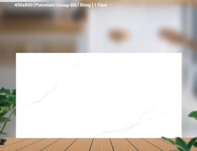 Gạch ốp tường Porcelain Catalan 47001 - 47002