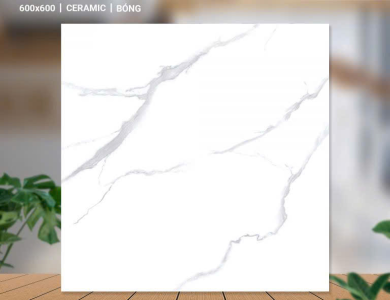 Gạch lát nền Ceramic Catalan 62082