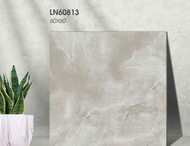 Gạch lát nền Porcelain KIS LN60813