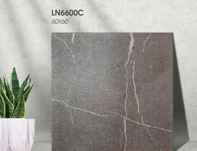 Gạch lát nền Porcelain KIS LN6600C