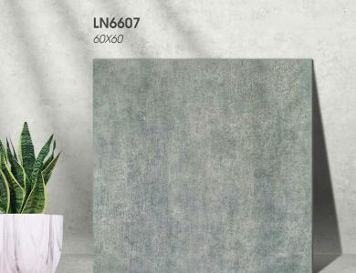 Gạch lát nền Porcelain KIS LN6607