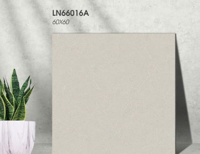 Gạch lát nền Porcelain KIS LN66016A