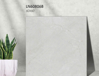 Gạch lát nền Porcelain KIS LN60806B