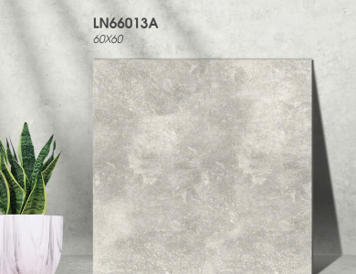 Gạch lát nền Porcelain KIS LN66013A