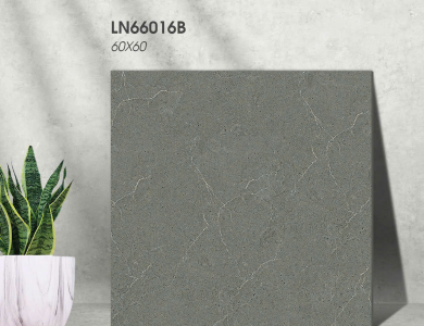 Gạch lát nền Porcelain KIS LN66016B