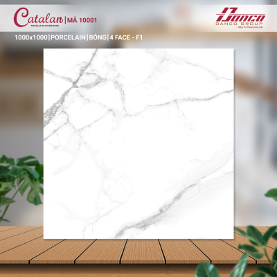 Gạch lát nền Porcelain Catalan 10001