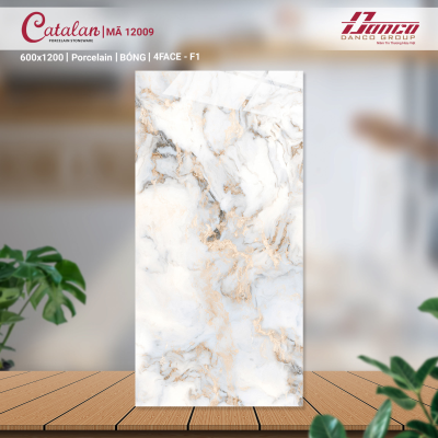 Gạch lát nền Porcelain Catalan 12009