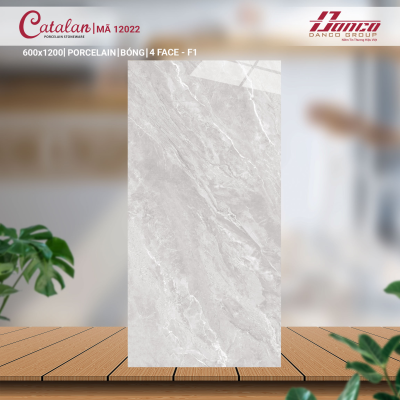 Gạch lát nền Porcelain Catalan 12022