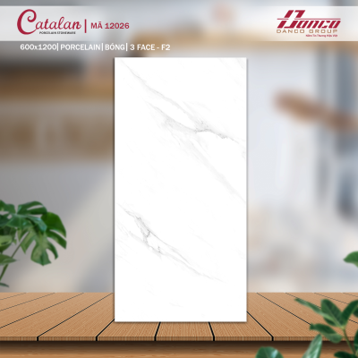 Gạch lát nền Porcelain Catalan 12026