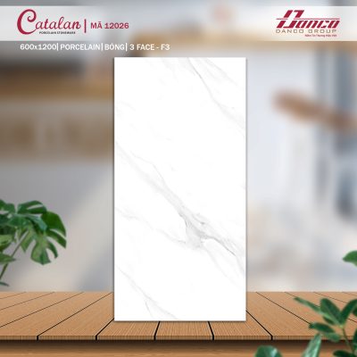 Gạch lát nền Porcelain Catalan 12026