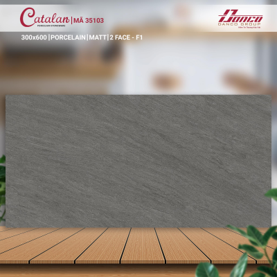 Gạch ốp tường Porcelain Catalan 35103