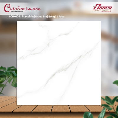 Gạch lát nền Porcelain Catalan 60086