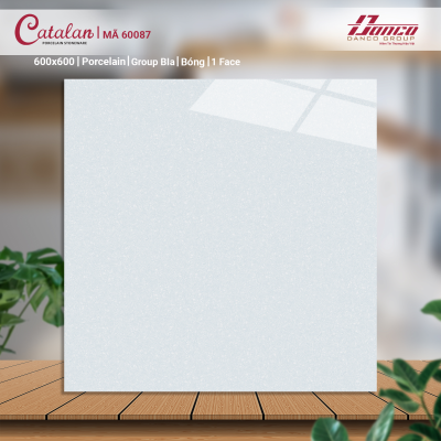 Gạch lát nền Porcelain Catalan 60087