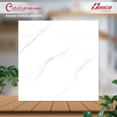 Gạch lát nền Porcelain Catalan 65001