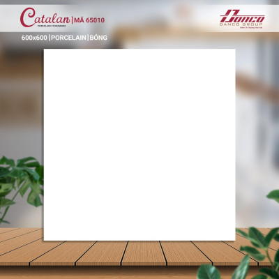 Gạch lát nền Porcelain Catalan 65010