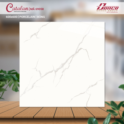 Gạch lát nền Porcelain Catalan 69058