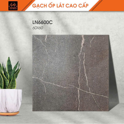 Gạch lát nền Porcelain KIS LN6600C