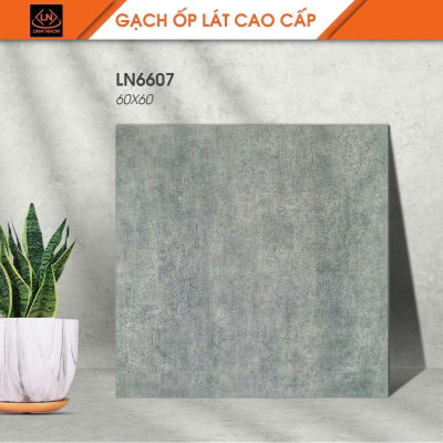Gạch lát nền Porcelain KIS LN6607