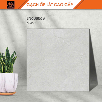 Gạch lát nền Porcelain KIS LN60806B
