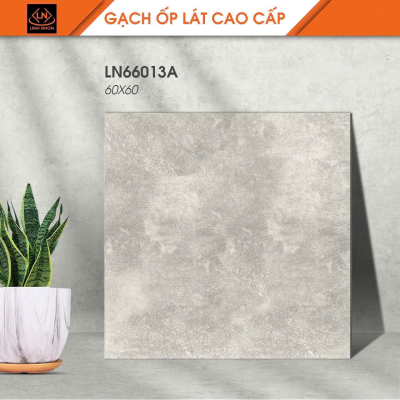 Gạch lát nền Porcelain KIS LN66013A
