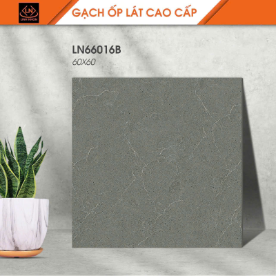 Gạch lát nền Porcelain KIS LN66016B