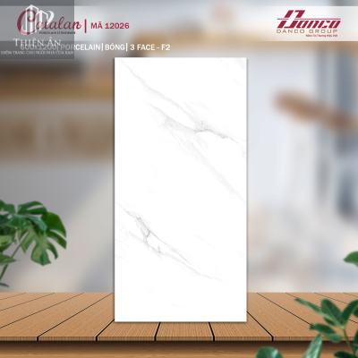 Gạch lát nền Porcelain Catalan 12026