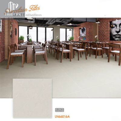 Gạch lát nền Porcelain KIS LN66016A