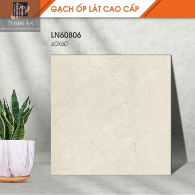 Gạch lát nền Porcelain KIS LN60806